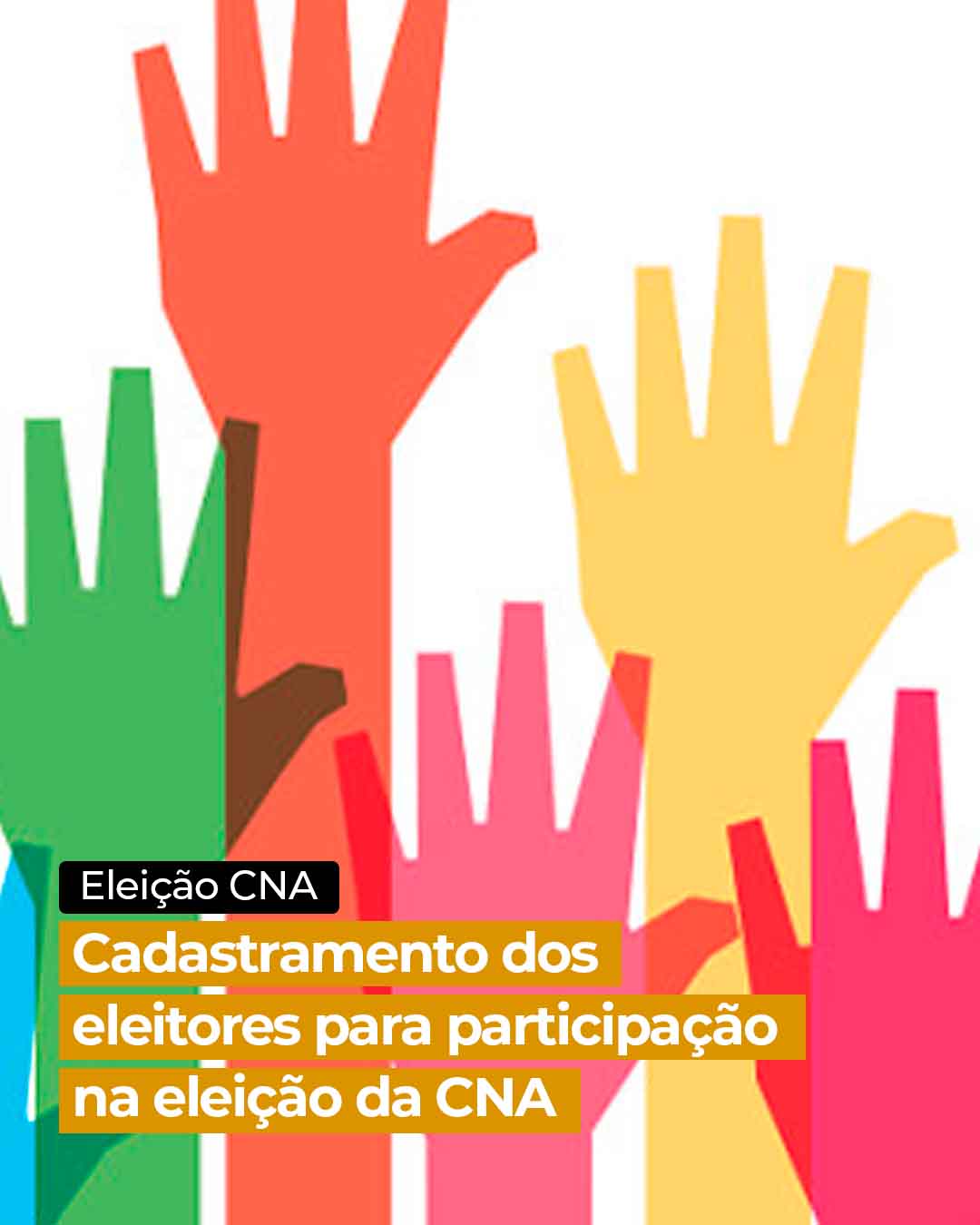 Eleição Coordenadoria Nacional de Adultos