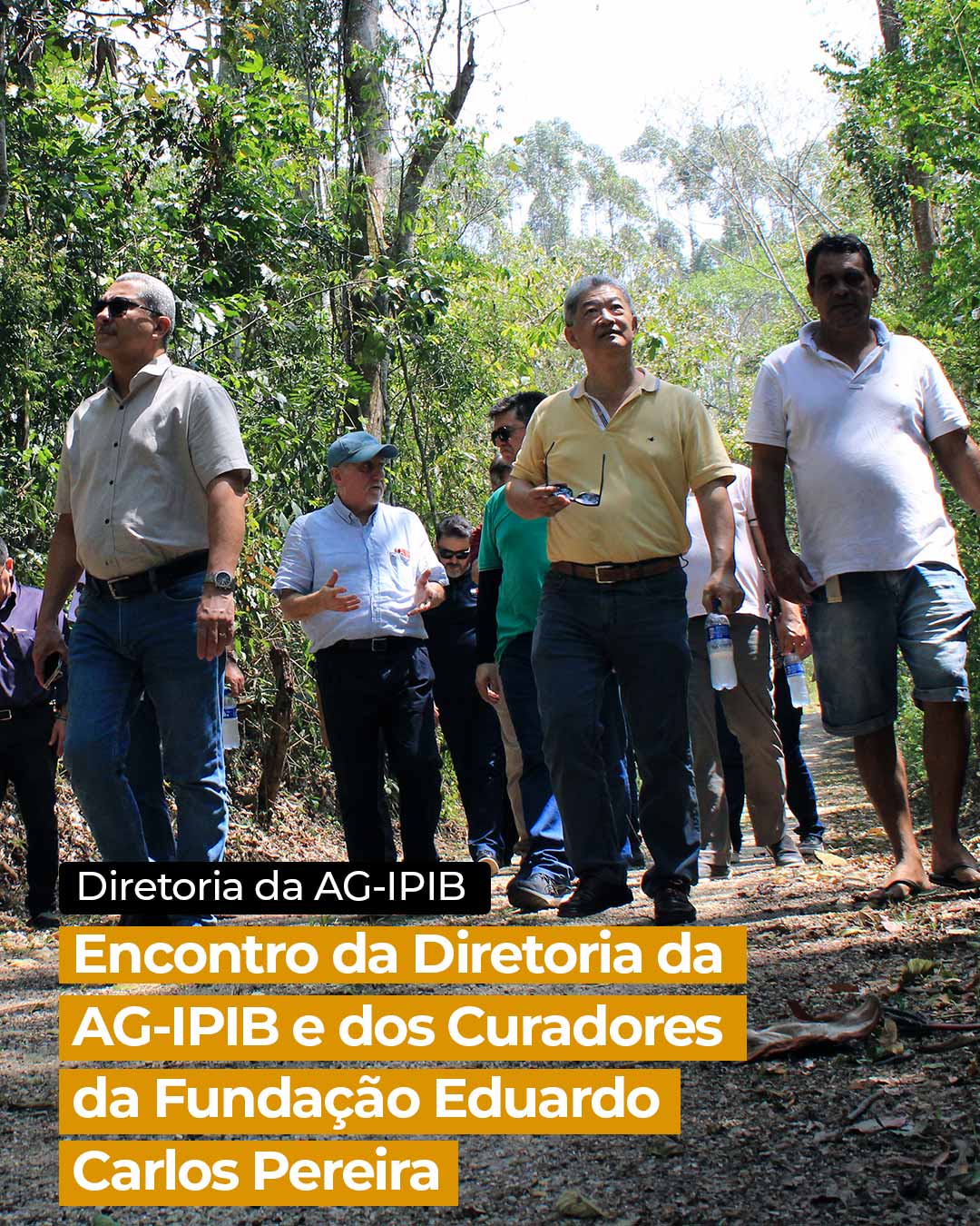 Encontro da Diretoria da AG-IPIB e dos Curadores da FECP